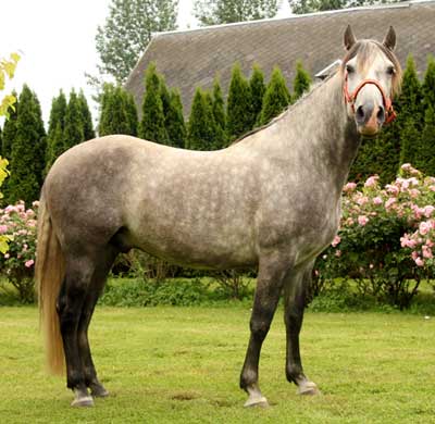 osmanne_grand